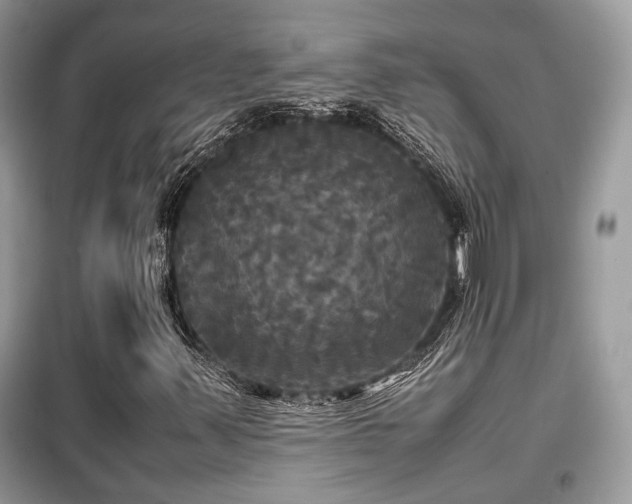 X0000099411347200805091209