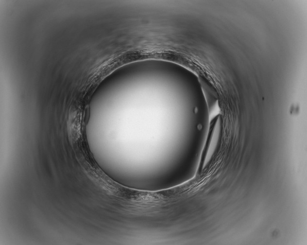 X0000099411348200805091209