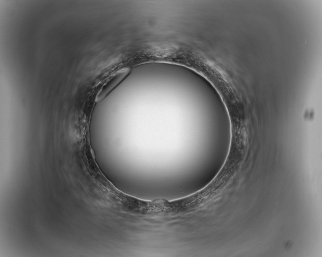 X0000099411349200805091209