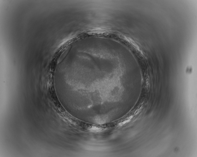 X0000099411350200805091209