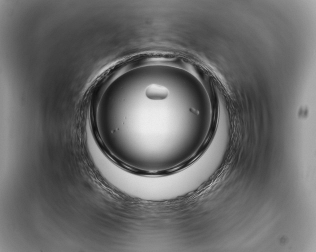 X0000099411352200805091209