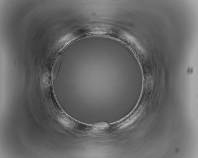 X0000099411353200805091209