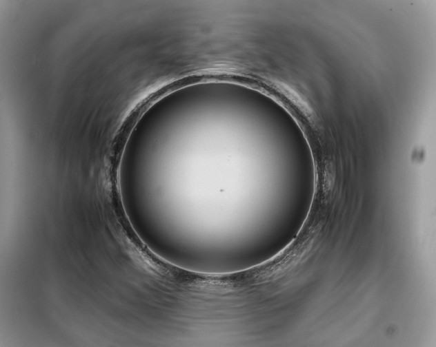 X0000099411356200805091209