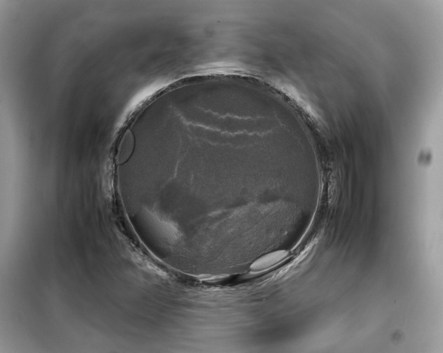 X0000099411358200805091209