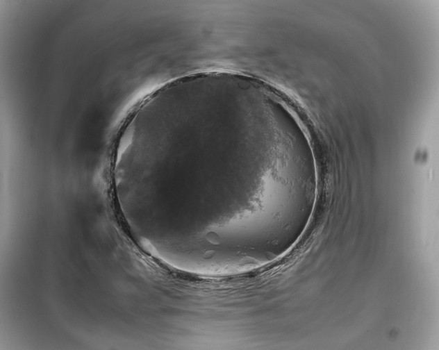 X0000099411359200805091209