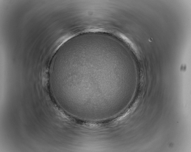 X0000099411361200805091209