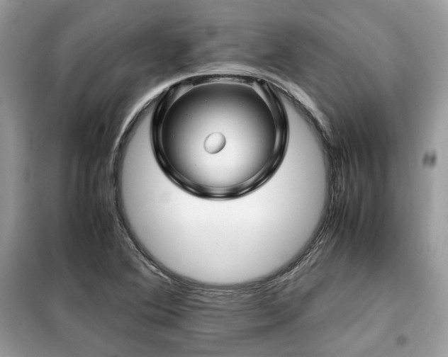 X0000099411364200805091209