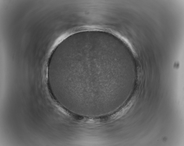X0000099411365200805091209