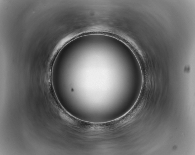 X0000099411366200805091209