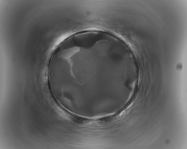 X0000099411367200805091209