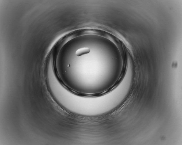 X0000099411368200805091209