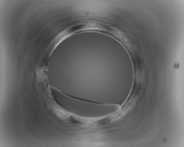 X0000099411369200805091209