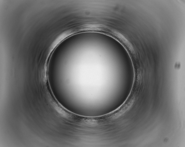 X0000099411370200805091209