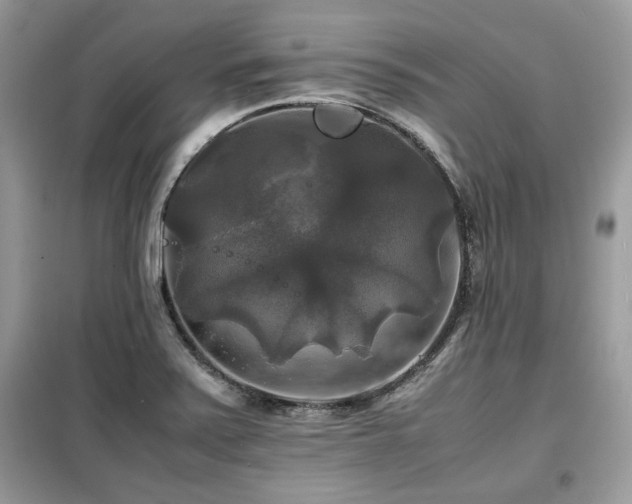 X0000099411371200805091209