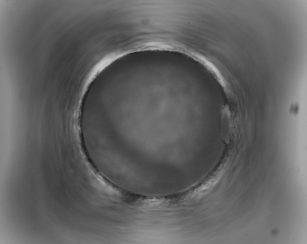 X0000099411373200805091209
