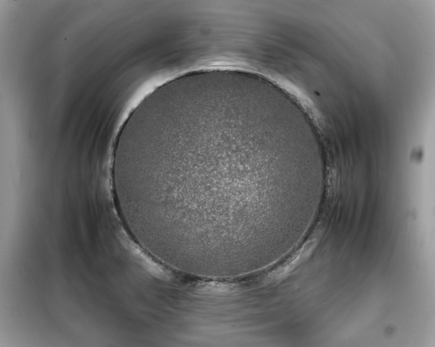 X0000099411374200805091209