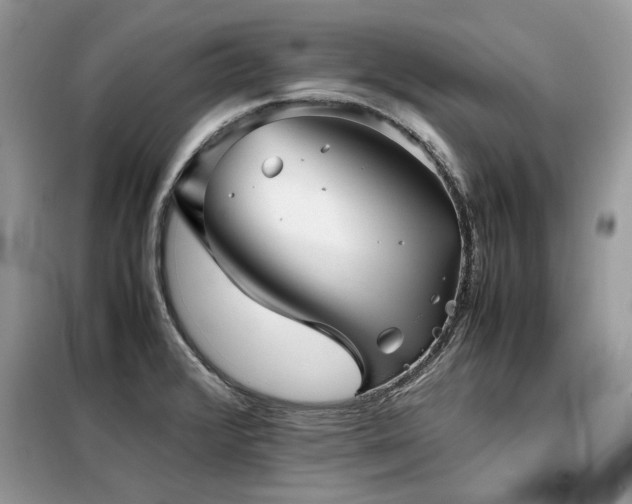 X0000099411376200805091209