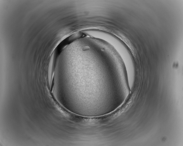 X0000099411377200805091209