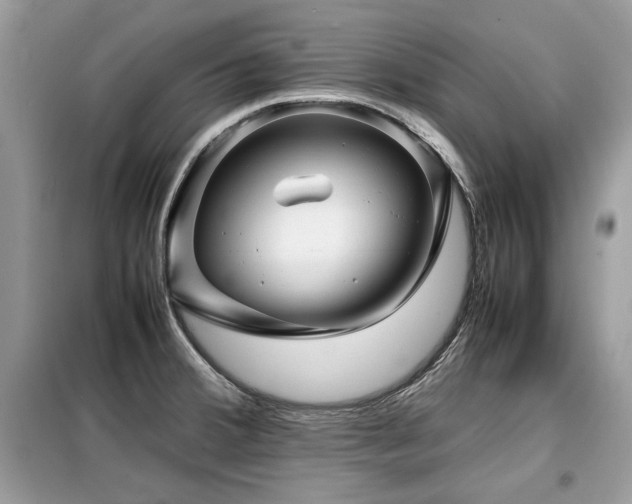 X0000099411380200805091209