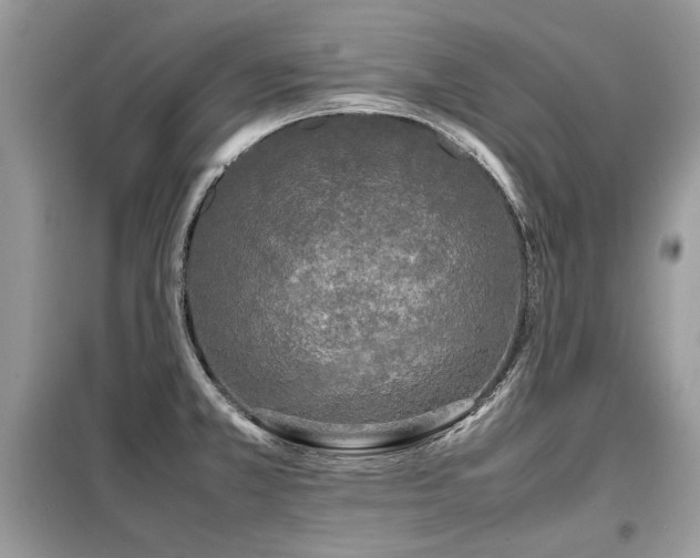 X0000099411381200805091209