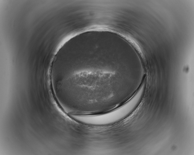X0000099411382200805091209