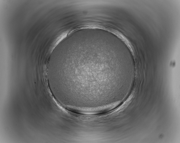 X0000099411385200805091209