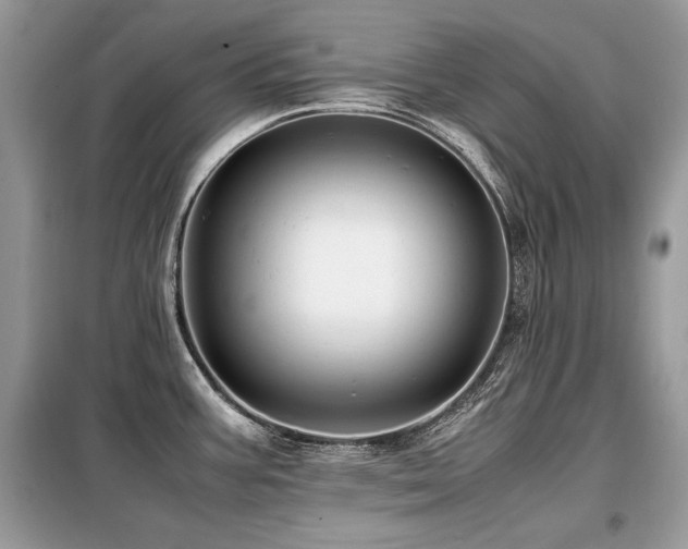 X0000099411387200805091209