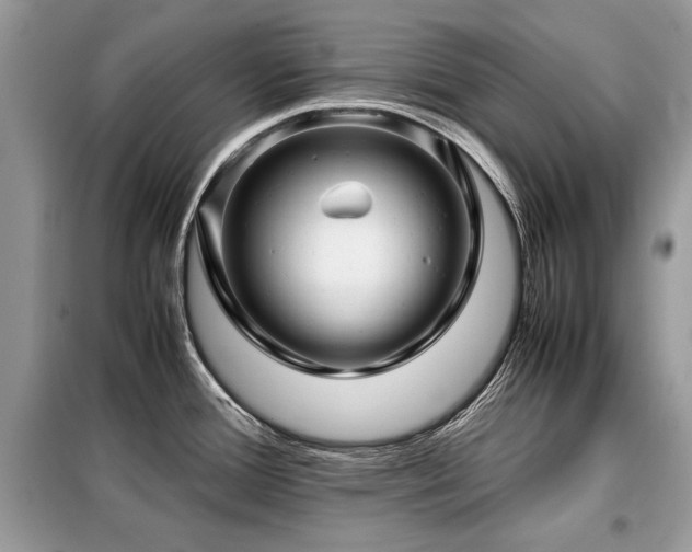 X0000099411388200805091209