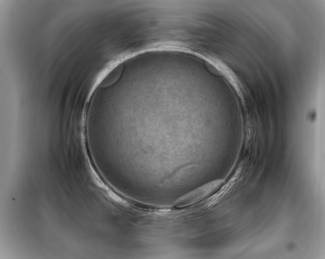 X0000099411390200805091208