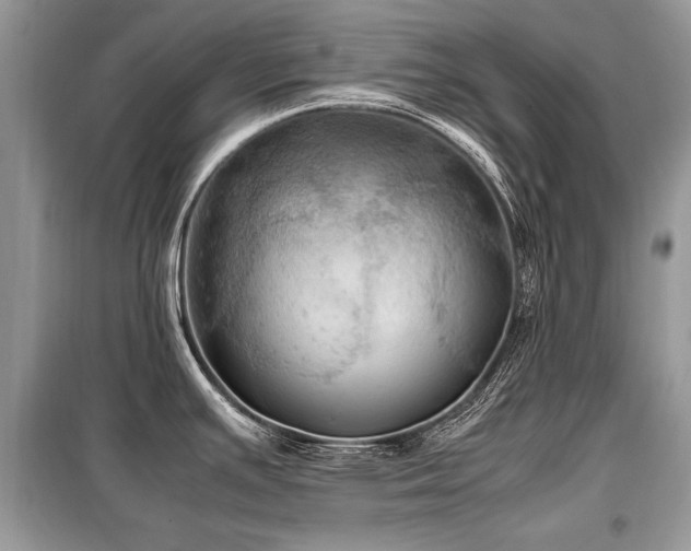 X0000099411391200805091208