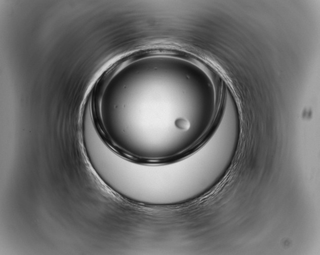 X0000099411392200805091208
