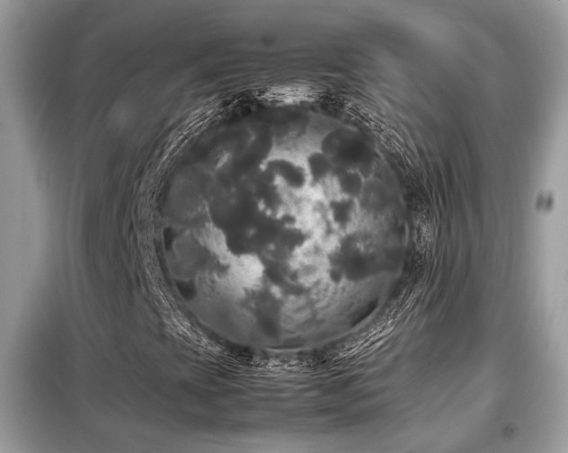 X0000099411393200805091208