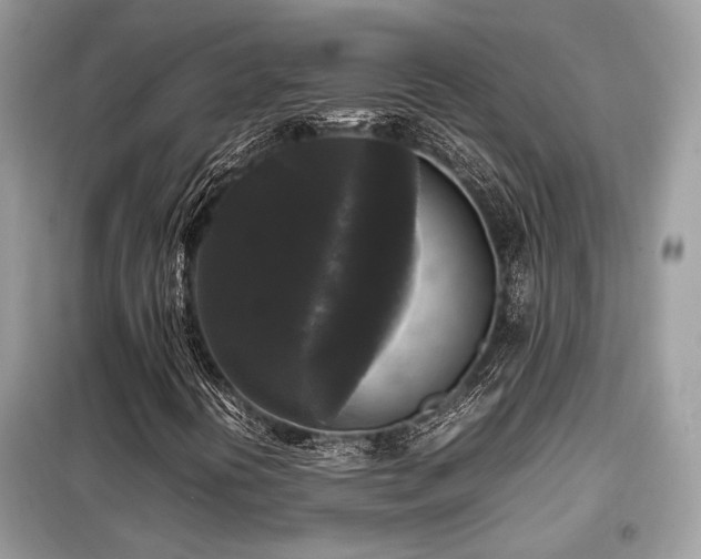 X0000099411394200805091208