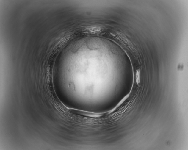 X0000099411395200805091208