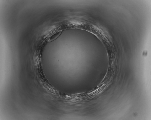 X0000099411397200805091208
