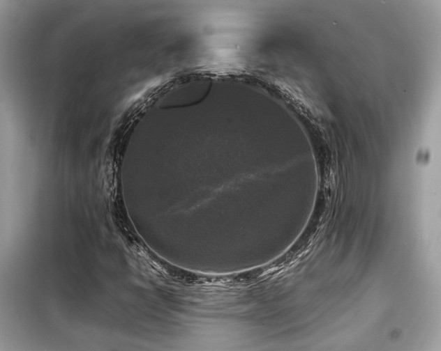X0000099411398200805091208