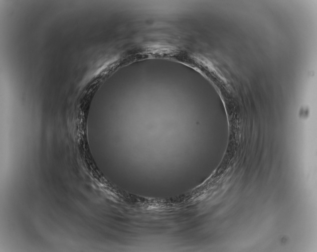 X0000099411399200805091208
