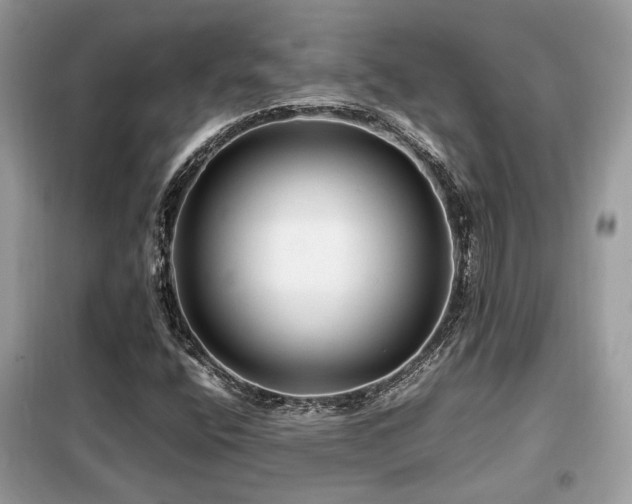 X0000099411400200805091208