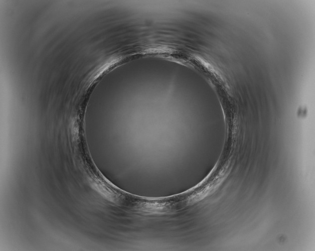 X0000099411401200805091208