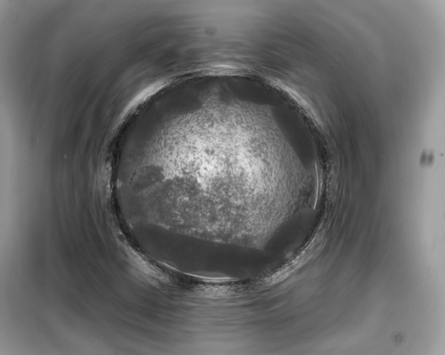 X0000099411402200805091208