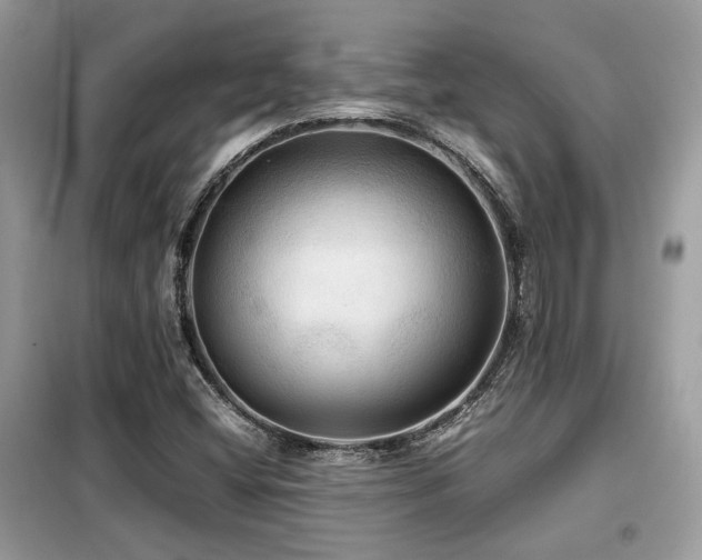 X0000099411404200805091208