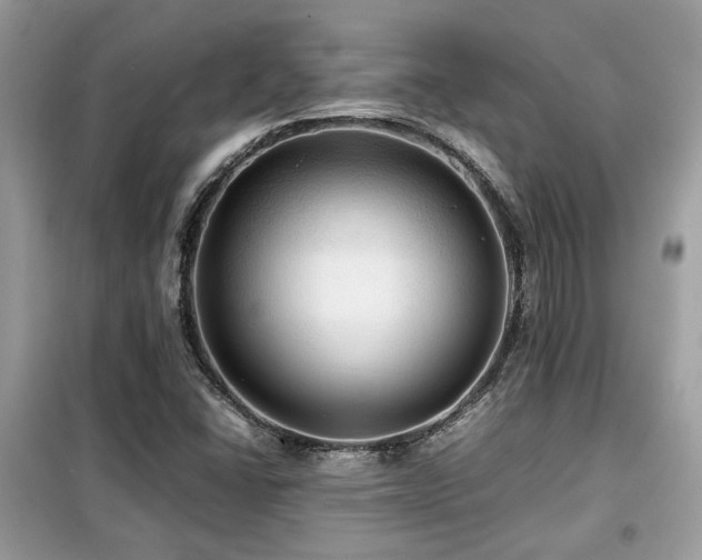 X0000099411406200805091208