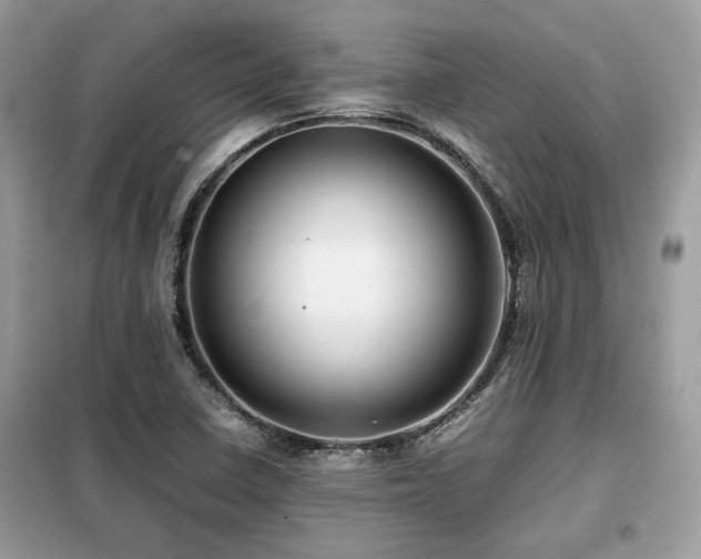 X0000099411410200805091208