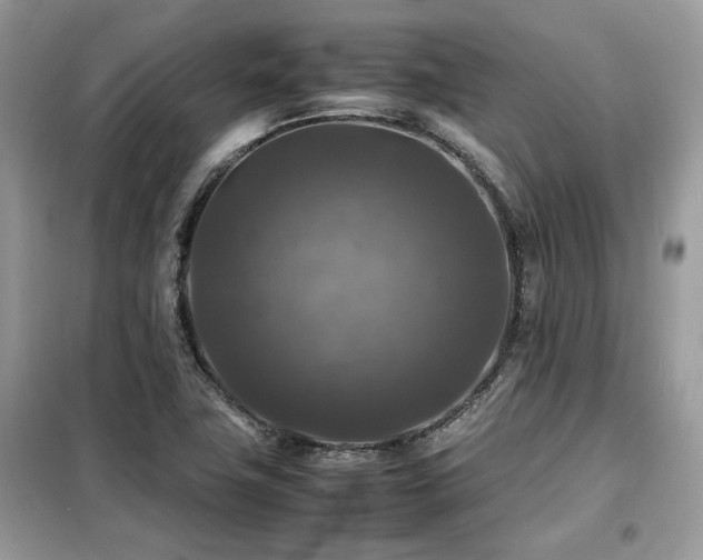X0000099411411200805091208