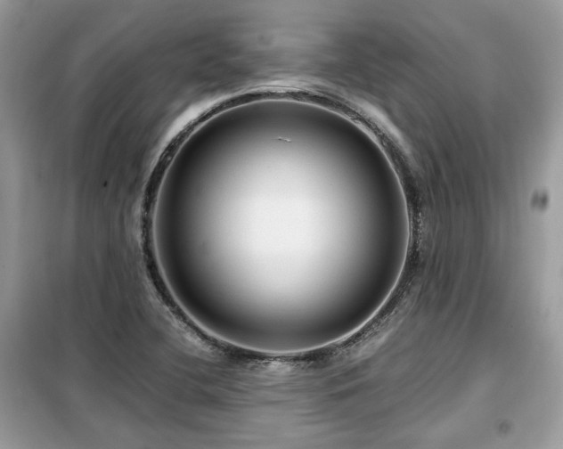 X0000099411412200805091208