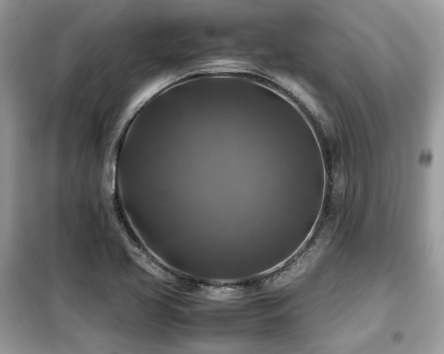 X0000099411413200805091208