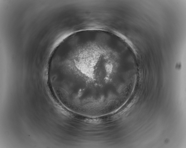 X0000099411415200805091208