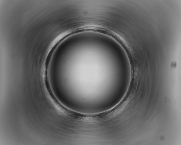 X0000099411418200805091208