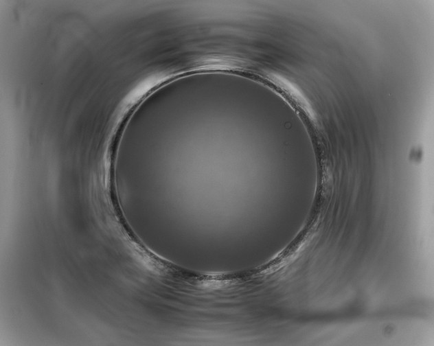 X0000099411419200805091208