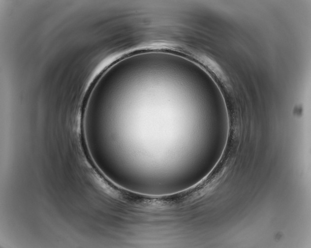 X0000099411420200805091208